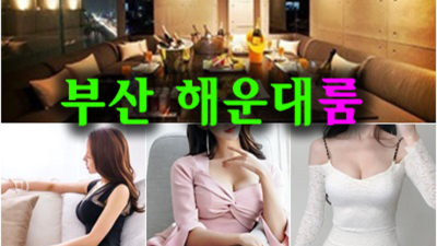 확실한 실시간문의 눈썹 휘날리도록 달려 보겠습니다  부산비비기