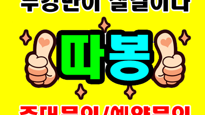 울산뉴월드나이트처럼 빛나는 순간들: 법정스님이 말한 '지금 여기'의 미학